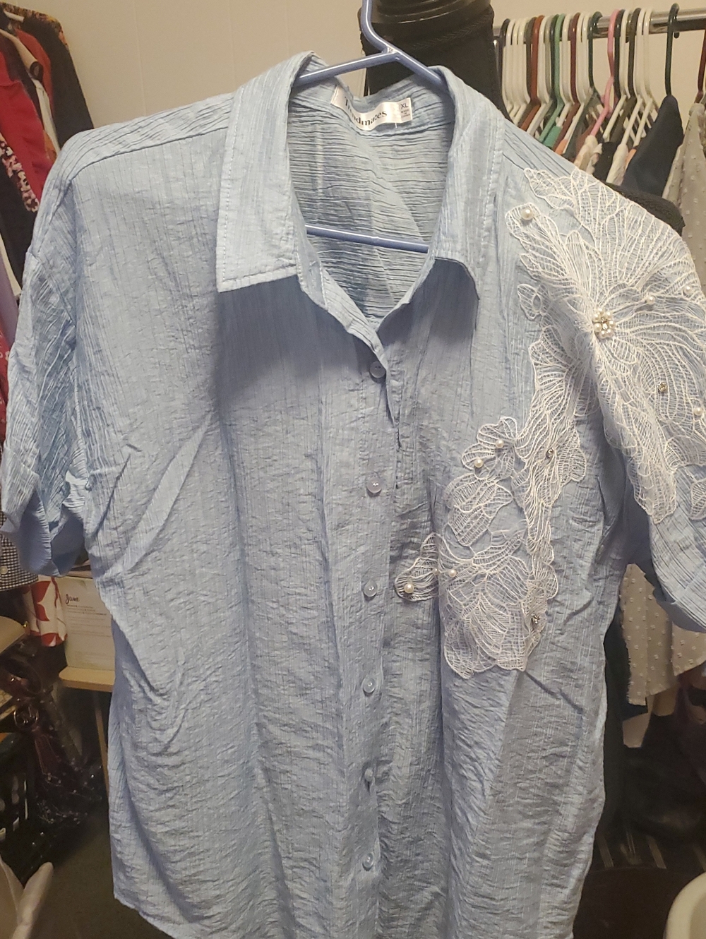 Light Blue Button-Front Blouse with White Lace Appliqué